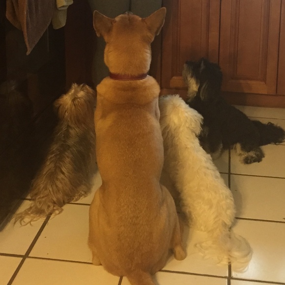 Meet Your Posher, Nancy - Picture 3 of 8